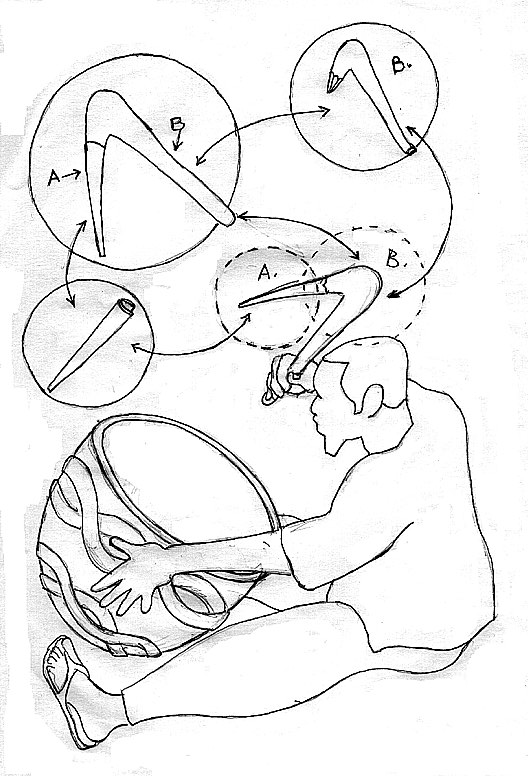 I WOULD LIKE TO SEE AN ENLARGEMENT PLEASE